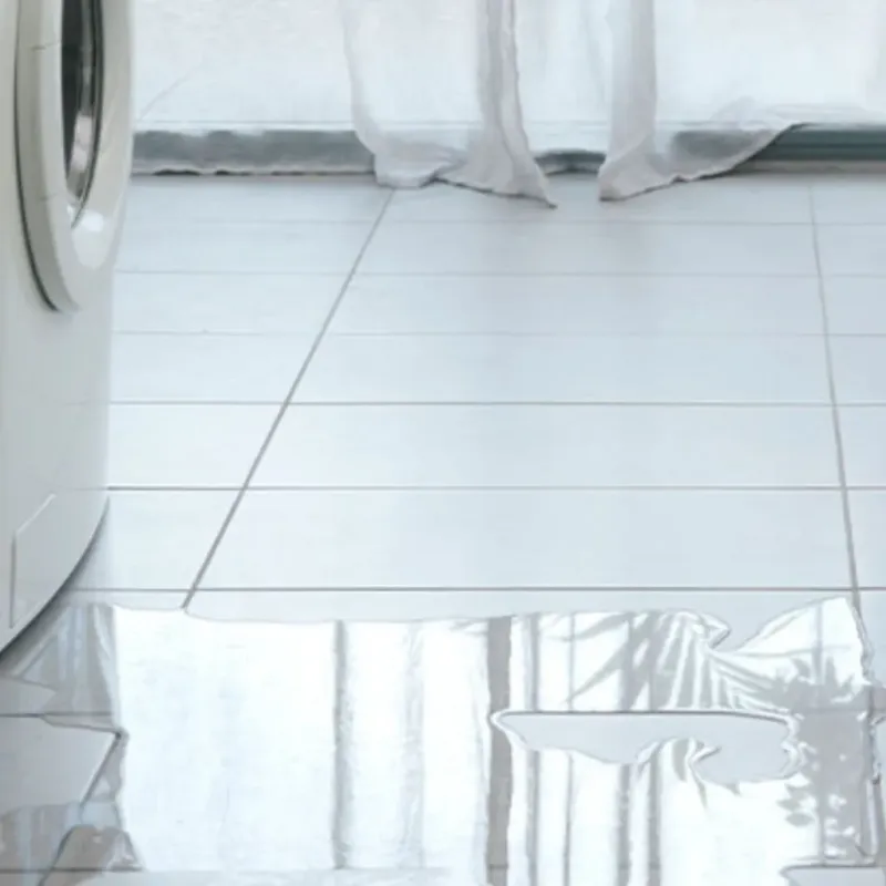 Appliance Leak Cleanup in Sauk County, WI