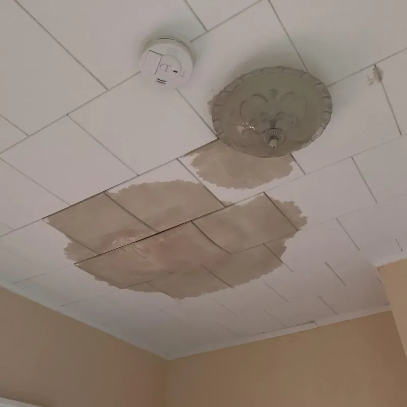 Ceiling Water Damage Repair in Sauk County, WI