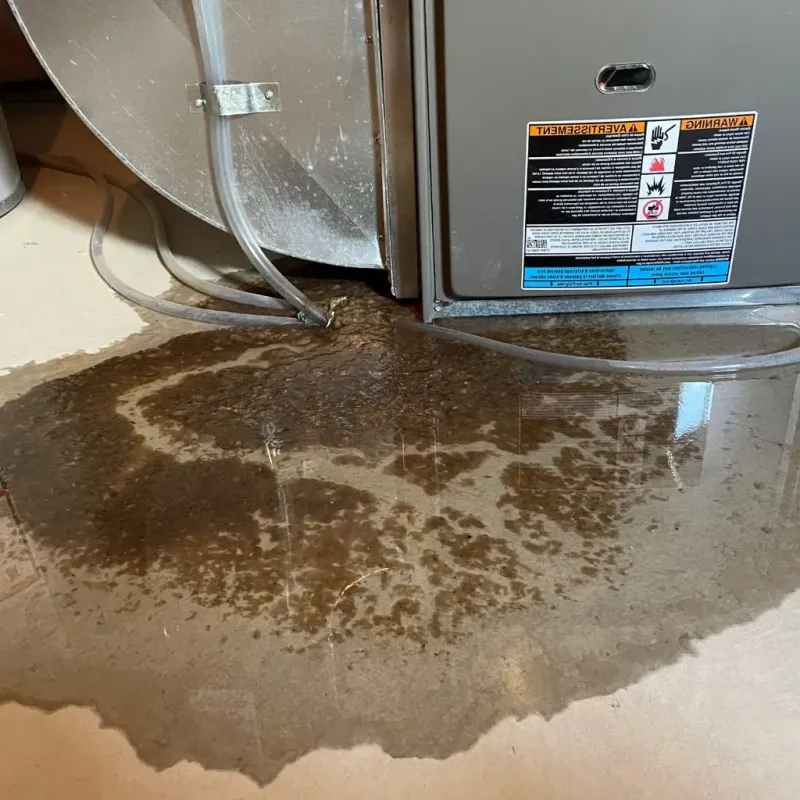 Pipe Burst and Leak Restoration in Sauk County, WI